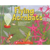 Flying Acrobats